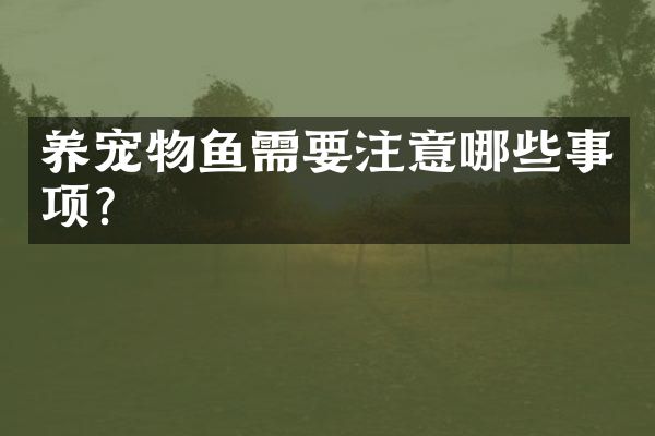 养宠物鱼需要注意哪些事项？