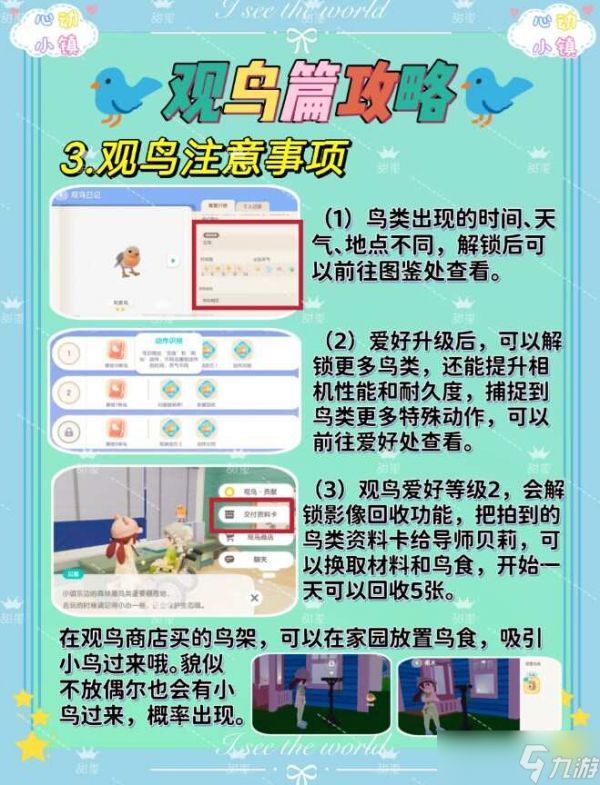 心动小镇观鸟爱好解锁攻略