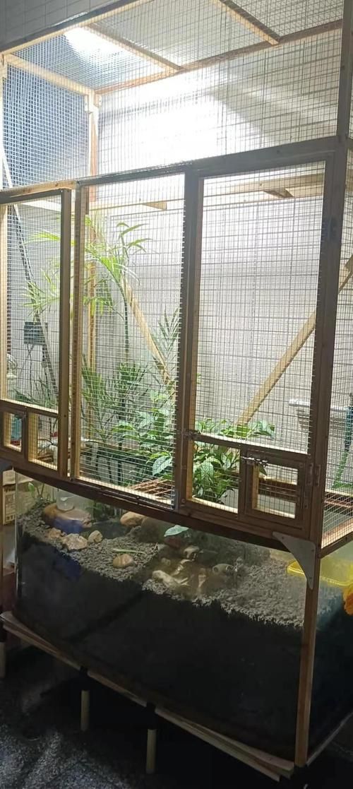 室内养鸟用什么隔断网比较好-室内养鸟注意事项