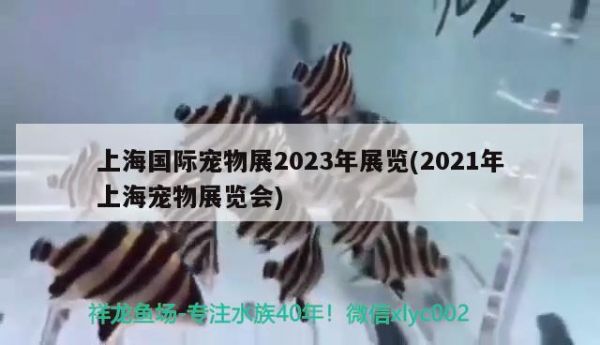 上海国际宠物展2023年展览(2021年上海宠物展览会) 2024第28届中国国际宠物水族展览会CIPS（长城宠物展2024 CIPS）
