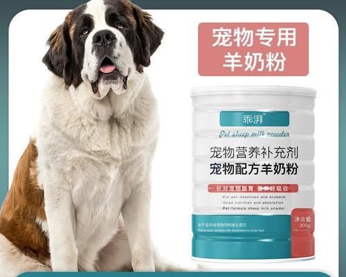 圣伯纳犬营养补充指南（营养均衡，让您的宠物更健康！）