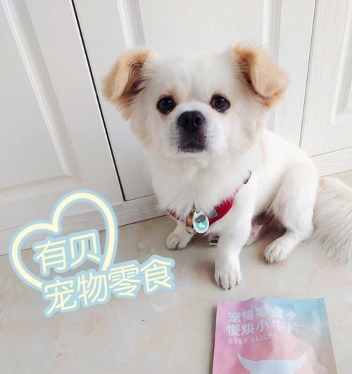 两个月幼犬喂什么零食（掌握营养均衡）