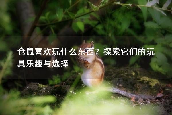 仓鼠喜欢玩什么东西？探索它们的玩具乐趣与选择