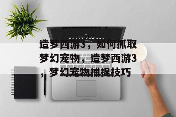 造梦西游3，如何抓取梦幻宠物，造梦西游3，梦幻宠物捕捉技巧