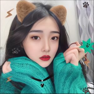 枫叶英锐gR