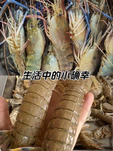 开海啦！我的快乐回来了！