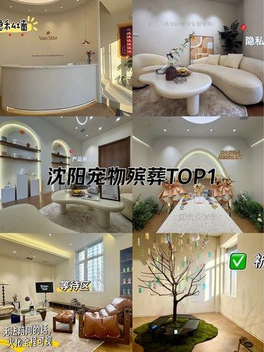 沈阳宠物殡葬TOP1