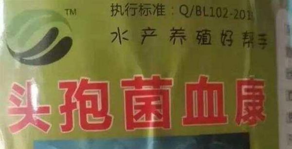 养殖鱼出血性疾病如何治疗？