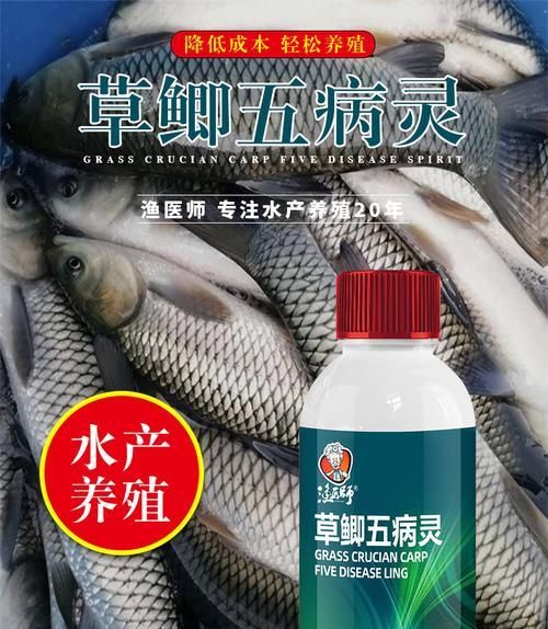 鱼塘鱼类出血病怎么治疗？推荐使用哪种药物？