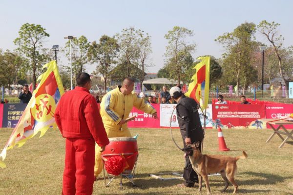 图：宠爱王国第一届CKUWDC工作犬红波杯MONDIORING国际实战犬大赛