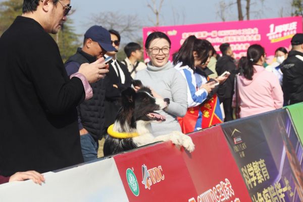 图：活动吸引众多市民游客前来参加