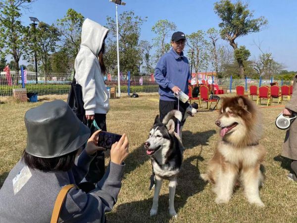 图：活动吸引众多市民游客前来参加