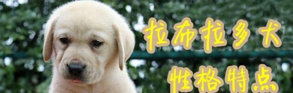 了解狗狗性格特质，与爱宠更亲密（了解狗狗性格特质，与爱宠更亲密）