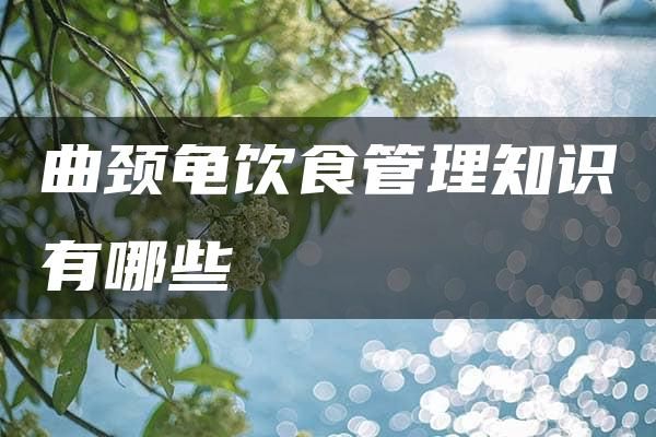 曲颈龟饮食管理知识有哪些