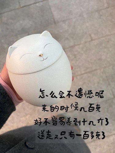 怎么会不遗憾呢？来的时候几百克