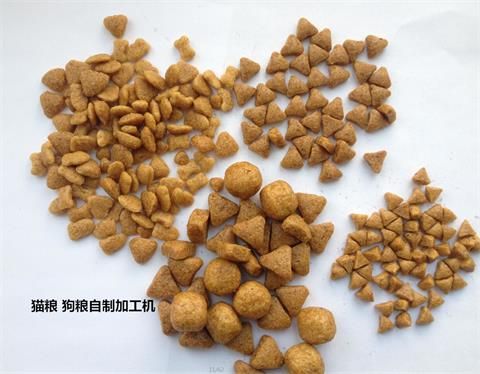 宠物吃什么东西能亮毛发