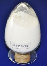 宠物食品制造厂家专用益生菌微生态制剂