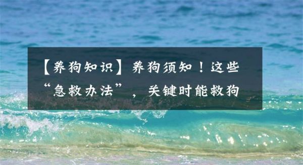 【养狗知识】养狗须知！这些“急救办法”，关键时能救狗狗一命文章配图