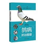 鸽病防治图谱