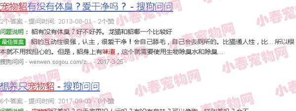 宠物貂味道大吗