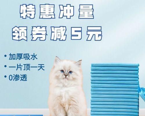 如何处理宠物小猫乱拉尿的问题（从日常护理到行为训练）