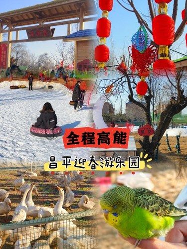 [礼花]快乐到飞起！全程高能的迎春游乐园！
