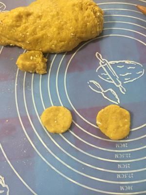 全麦狗狗饼干(简易版)的做法 步骤5