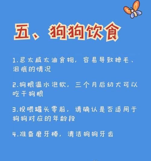 狗狗的体检和疫苗接种费用及流程解析（了解狗狗体检和疫苗接种的必要性和费用，让宠物健康无忧）