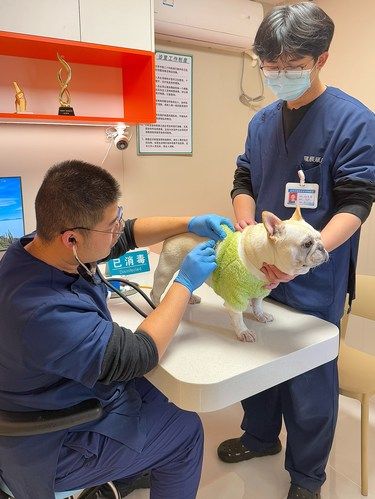 福清靠谱宠物医院 在这里！！