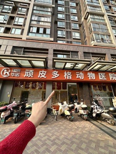 福清你糊涂啊……怎么不宣传这家宠物医院！！