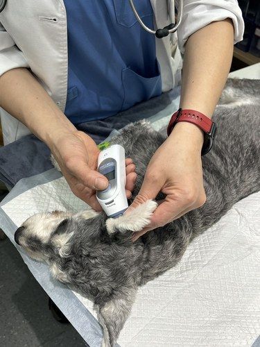 （福清）听劝！带毛孩子来这里真的没错！