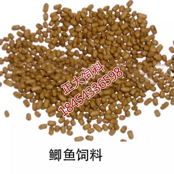 养殖鱼的饲料
