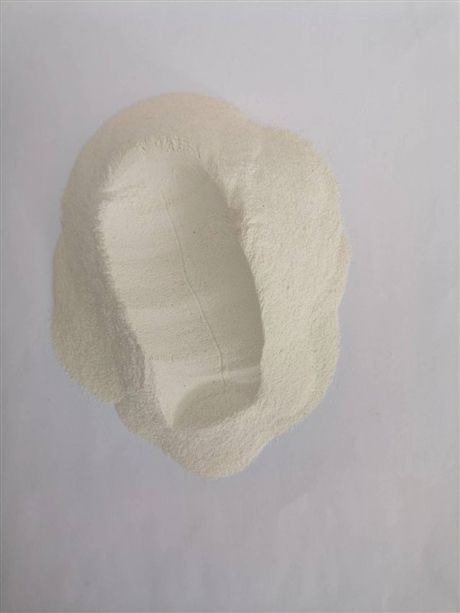 大米蛋白粉厂家供应
