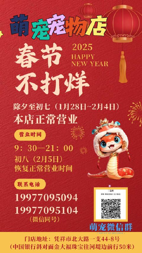 凭祥萌宠宠物店，品种多多，优惠多多哦~ 小猫，小狗，仓鼠，兔子，观赏鱼…