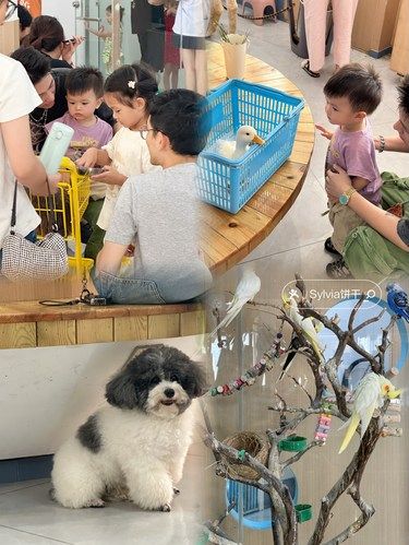 芜湖 !!! 请记住这里……巨巨巨巨巨可爱