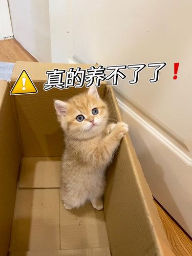 宠物医院❗️❗️能说嚒❓❓
