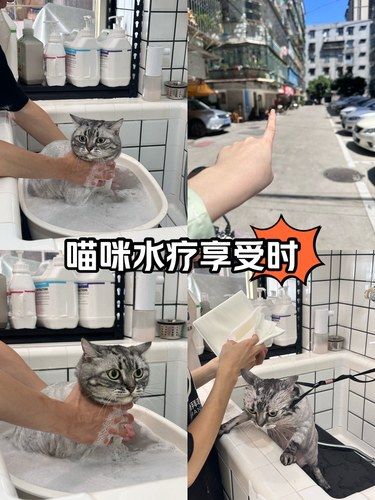 进去一下，怎么毛都没了[流泪][流泪][流泪]