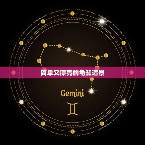 简单又漂亮的龟缸造景，新手刚开始养龟，学习如何养，龟缸造景种什么 第1张