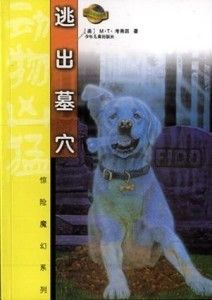 探索萌宠乐园，香猪笼舍的神秘之地