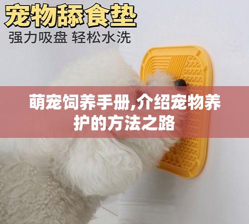 萌宠饲养手册,介绍宠物养护的方法之路