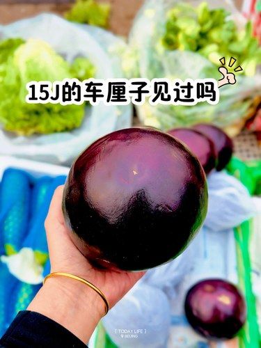 15J的车厘子有没有人要