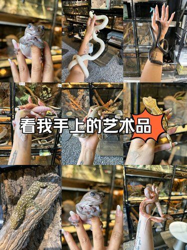 看我手上的艺术品