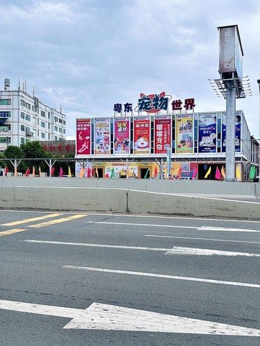 记住这个位置！好玩到不想出来了……