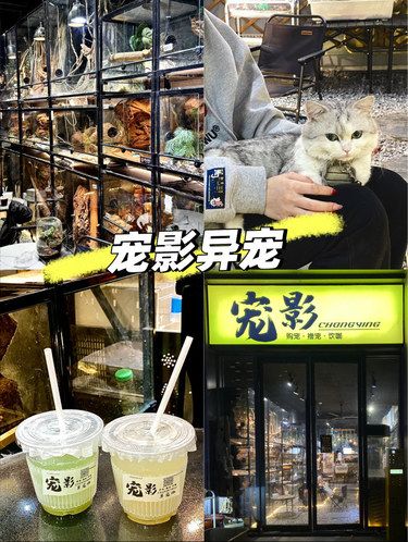 汕头探店 | 去见一些冷血朋友