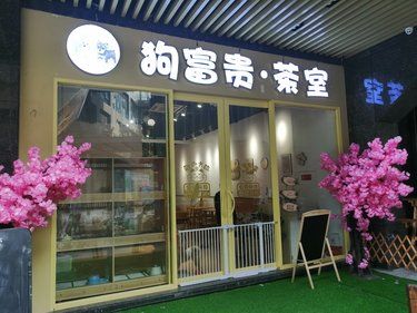 毛孩子可以治愈一切