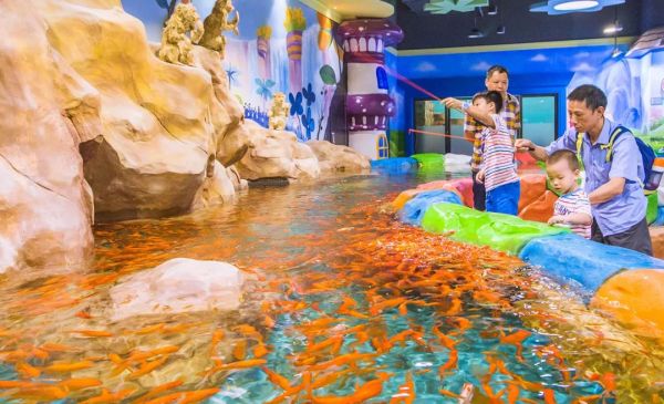  萌宠鱼龟乐园，水族世界的魅力与趣味