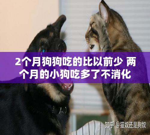 2个月狗狗吃的比以前少 两个月的小狗吃多了不消化怎么办?