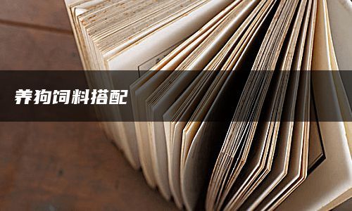 养狗饲料搭配