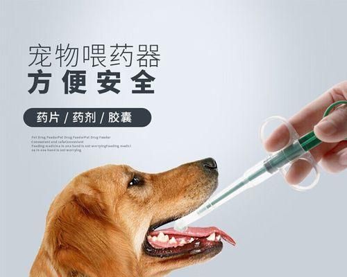为什么猫咪吸收不了蛋白质（揭秘猫咪的消化系统和蛋白质吸收问题）