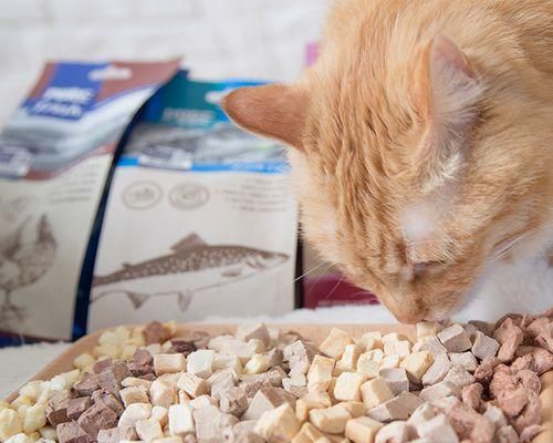 猫咪吃蛋白质含量高的食物有哪些？如何确保猫咪摄入足够的蛋白质？